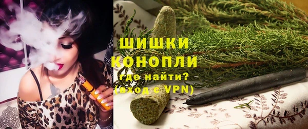 шишки Богородск
