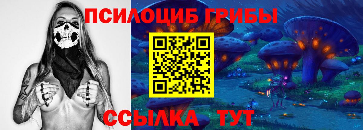 Псилоцибиновые грибы Cubensis Красноармейск
